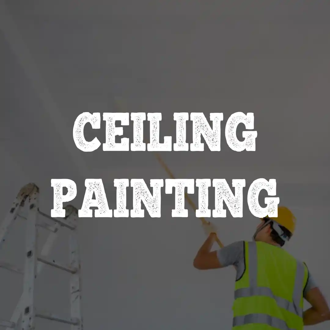 CEILING PAINTING (1)