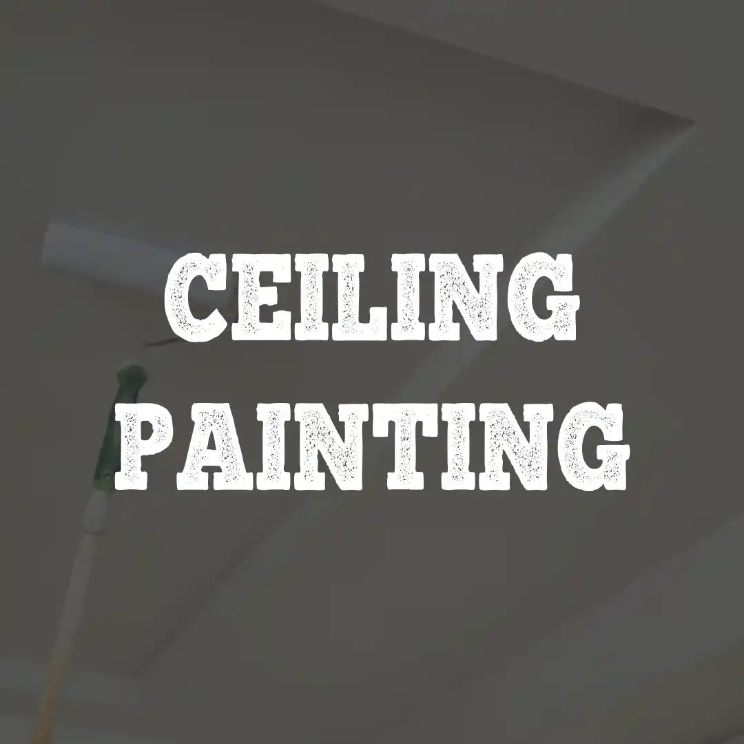 CEILING PAINTING (2)