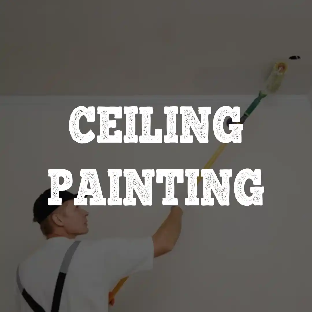 CEILING PAINTING (3)